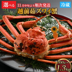 【ふるさと納税】【先行予約】[捌き済選択可][到着日指定可]蟹好きにおすすめ！老舗カニ専門店の「越前ずわいがに」選べる中、大、特大 (700g～1.3kg)【11月中旬より順次発送】 [I-085016] / カニ かに かにボイル かにみそ 越前ガニ ズワイガニ ずわい蟹 ズワイガニ