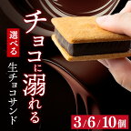  生チョコレート チョコサンド 老舗 焼菓子 焼き菓子 洋菓子 クッキー カカオ 生菓子 分厚い プレゼント 冷蔵配送 送料無料 母の日 /【山奥チョコレート 日和】 生チョコサンド 10個入 [A-026001]