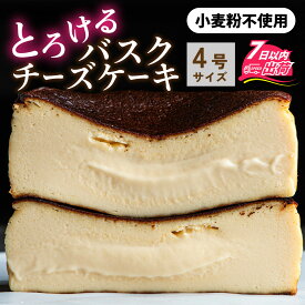 【ふるさと納税】小麦粉不使用バスクチーズケーキ[A-094005] / バスクチーズケーキ チーズ ケーキ チーズスイーツ 高級スイーツ ギフト 絶品洋菓子 高級 お取り寄せスイーツ 高級お菓子 RUNNYCHEESE ラニーチーズ バレンタイン ホワイトデー