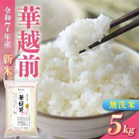 【ふるさと納税】【先行予約】無洗米 令和7年産 新米 福井市産はなえちぜん 5kg「2025年9月初旬より順次発送」 [A-094013] / ハナエチゼン 華越前 花えちぜん 刈り取り時期 早生 品種 福井県産 令和七年 ご飯 お米 白米 ブランド米 コメ こめ 精米 白米 無洗米 5キロ