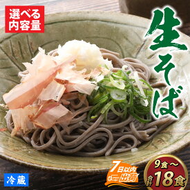 【ふるさと納税】蕎麦 そば なまそば 生そば 生麺 麺類 越前 和食 小分け 風味 のど越し つゆ付 年越しそば 冷蔵配送 冷凍保存 長期保存 送料無料 /【選べる内容量】 ヤマサ製麺 越前そば【A-120003】