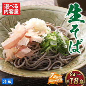 【ふるさと納税】蕎麦 そば なまそば 生そば 生麺 麺類 越前 和食 小分け 風味 のど越し つゆ付 年越しそば 冷蔵配送 冷凍保存 長期保存 送料無料 /【選べる内容量】 ヤマサ製麺 越前そば【A-