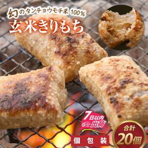 yӂ邳Ɣ[Łzʍ͔| Ă v20 /   ^`E`  ` RV S _   S S Y  [A-020017]