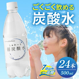 【ふるさと納税】しゅわっと弱炭酸水 [A-030026] / 炭酸 炭酸水 水 微炭酸 24本 1ケース 500ml ペットボトル 飲料水 みず 北陸 飲料 無糖 軟水 ダイエット 福井県 福井市 ウォーター ローヤルさわやか