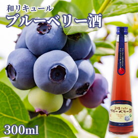【ふるさと納税】北の庄 蔵元造り 和リキュール「ブルーベリー酒」/ 300ml 酒 お酒 リキュール ブルーベリー アルコール8% 甘い [A-038005]