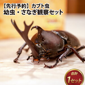 ys\z yӂ邳Ɣ[ŁzJug@cEȂώ@Zbgy2026N4{z / Jug c Ȃ ώ@ Zbg GT}bg  R  ̌  䌧 s Jug