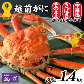 【ふるさと納税】【先行予約】選べる！美味しさ直送【成前特選】越前がに [L-028048] / 甲羅盛り 捌き 姿 福井県 福井市 茹で ゆで 茹で蟹 ゆでがに すがた さばき 冬 鍋 カニ ボイル かにみそ 越前かに 越前蟹 ズワイガニ ずわい蟹 甲羅盛 蟹 手軽 福井 国産 冷蔵 送料無料
