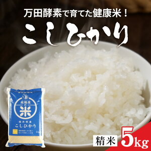 �y�ӂ邳�Ɣ[�Łz�ߘa7�N�Y ���c�y�f�ň�Ă����N�� ����s�Y�����Ђ���5kg [A-150002] / �V�� ���� �� ���� �R�� �������� �R�V�q�J�� �y�f �A�����y�H�i �������y �n��