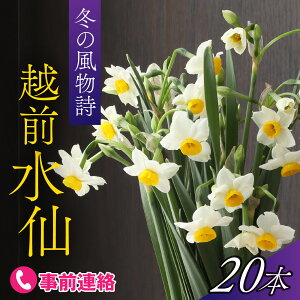 yӂ邳Ɣ[Łz Mtg  A  蕨 CeA/ ys\z̓~̕A~̓{CɌč炭uzOv2025N12{菇 [A-159002]