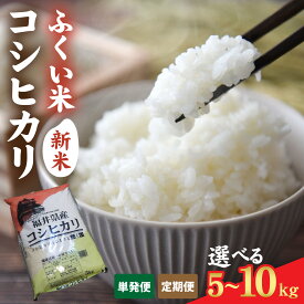 【ふるさと納税】【選べる容量・回数】【先行予約】【ふくい米】令和8年産 福井市産コシヒカリ5kg〜10kg「2026年10月上旬より順次発送」 [A-168014-oya] | こしひかり 白米 精米 こめ コメ 米 国産