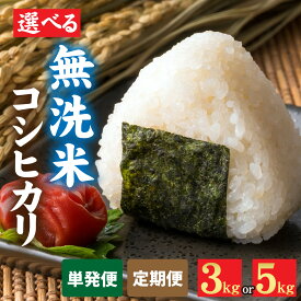 【ふるさと納税】【先行予約】新米 令和7年産 福井市産コシヒカリ みやま米 選べる3kg 5kg 選べる配送回数【天然の山水だけで育てたお米】「2025年10月下旬以降順次発送予定」/ 米 こしひかり 福井県 福井市 無洗米 令和7年 令和七年 7年産 7年 こめ コメ 12か月 [A-168003]