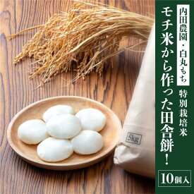 【ふるさと納税】モチ米から作った田舎餅！10個入 ピロール農法 [A-168005] / 餅 タンチョウモチ米 モチ米 米 モチ コシ 粘り 国産 送料無料 雑煮 ぜんざい まるもち 丸餅 餅 年末 年始 正月 お餅 もち おもち きりもち 玄米