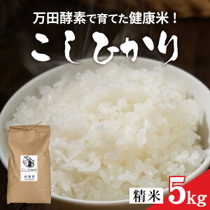 yӂ邳Ɣ[Łzys\zߘa7NY cyfňĂN sYЂ5kgu2025N9{菇v [A-150002] / V    R  RVqJ yf Ay