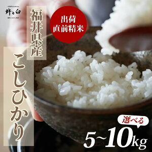 yӂ邳Ɣ[Łzߘa7NY 䌧Y Ђ Iׂe 5kg 10kg [A-150003] / V    R RVqJ ߘaN 7N N Yn _ƒ