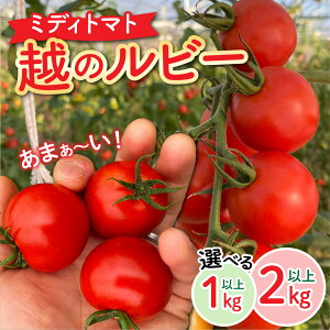 yӂ邳Ɣ[Łz ÂĔ炪Hׂ₷@sY~fBg}gwz̃r[x[A-180002] / 1kg / 2kg sY _ƒ Iׂ