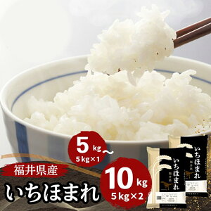 yӂ邳Ɣ[Łz䌧Yق܂  Iׂe 5kg 10kg [D-187001] / Hi    ق܂ uh  R    10L 5L Iׂ e ߘa7N ߘaN 7N N 