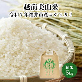 【ふるさと納税】越前美山米　令和7年福井市産コシヒカリ　精米5kg [B-204001] / 精米 米 お米 コメ 送料無料 コシヒカリ こしひかり 令和七年産 七年 7年 令和7年 福井県 福井市