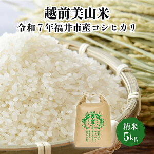 yӂ邳Ɣ[ŁzzORā@ߘa7NsYRVqJ@5kg [B-204001] / V    R  RVqJ Ђ ߘaNY N 7N ߘa7N 䌧 s