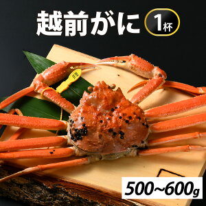 yӂ邳Ɣ[Łz[s\]ys꒼z~̉ҁI䥂ŉzO500-600g@1ty11{菇ANNnΉsz [G-065037] /  I 킢 YC 䥂ł 