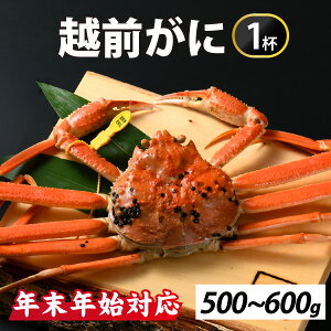 yӂ邳Ɣ[Łzy1226t܂ŔNzz[s\] ~̉ҁI䥂ŉzO500-600g@1tyNNnΉz [H-065038] /  I 킢 YC 䥂ł 