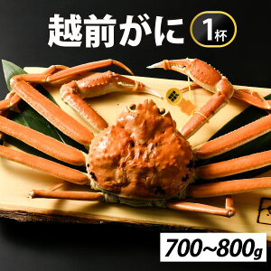 yӂ邳Ɣ[Łz[s\]ys꒼z~̉ҁI䥂ŉzO700-800g@1ty11{菇z [I-065039] /  I 킢 YC 䥂ł 