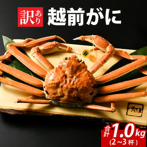 yӂ邳Ɣ[Łz[s\]y󂠂zIʁ@䥂ŉzOɁ@1kgi2`3tjy11{菇ANNnΉszs꒼I [J-065035] /  I 킢 YC 䥂ł 