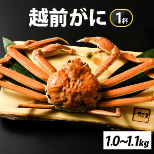 yӂ邳Ɣ[Łz[s\]ys꒼z~̉ҁI䥂ŉzO1000-1100g@1ty11{菇ANNnΉsz [L-065041]