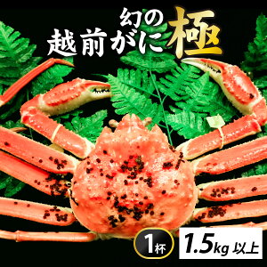 yӂ邳Ɣ[Łz[s\]ys꒼zՂ̃YCII䥂ŉzOɁyɁz1ty11{菇ANNnΉsz [W-065043] /  I 킢 YC 䥂ł 