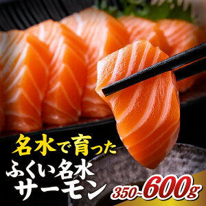 yӂ邳Ɣ[ŁzY ӂT[ipbNj350gE600g / ӂ T[  Ⴏ TP ؂g ؐg ^ pbN   CN y Ⓚ {B hg hg Ă  R 