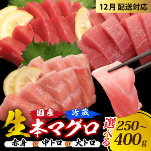yӂ邳Ɣ[Łzy①EwzIׂI{}O / 250g 400g Y ܂   ǂ ① ^pbN wV[ Ԑg g g g }O  {}O hg  Y 