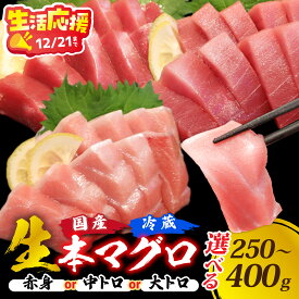 【ふるさと納税】生活応援！【冷蔵・指定日着可】選べる！生本マグロ / 250g 400g 国産 まぐろ 鮪 さく 柵どり 冷蔵 真空パック ヘルシー 赤身 中トロ 大トロ トロ マグロ 生 本マグロ 刺身 柵 国産 送料無料 [A-066003]