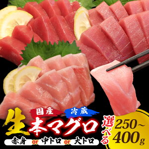 yӂ邳Ɣ[Łzy①EwzIׂI{}O / 250g 400g Y ܂   ǂ ① ^pbN wV[ Ԑg g g g }O  {}O hg  Y 