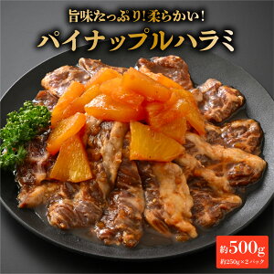yӂ邳Ɣ[ŁzpCibvn~i250g×2pbN v500gj [A-066045] /   n~ _ pCibv _ Ђ }Ⓚ ē BBQ s 