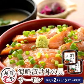 【ふるさと納税】海鮮漬け サーモン 120g×2パック（2〜4食分） / たからや商店 越前宝や サーモン 鮭 福井県 小分け おつまみ 和え物 お茶漬け 漬け丼 ごはんのお供 海鮮丼 惣菜 一人暮らし 新生活 [A-088012]