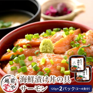 yӂ邳Ɣ[ŁzCNЂ T[ 120g×2pbNi2`4Hj / ⏤X zO T[  䌧  ܂ a Ђ Ђ ͂̂ CN y l炵 V