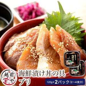 yӂ邳Ɣ[ŁzCNЂ u 120g×2pbNi2`4Hj / ⏤X zO Ԃ  䌧  ܂ a Ђ Ђ ͂̂ CN y l炵 V 