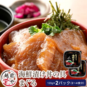 yӂ邳Ɣ[ŁzCNЂ }O 120g×2pbNi2`4Hj / ⏤X zO ܂  䌧  ܂ a Ђ Ђ ͂̂ CN y l炵 V