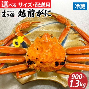 yӂ邳Ɣ[Łzys\zzOKj YCKj py11`3zy900g`1.3kg ×1tz܂c̉zO [J-007007] / / 䌧  IX Y YCKj {C ① zOKj zO zO