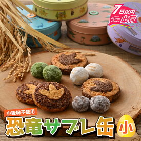 【ふるさと納税】 恐竜サブレ缶（小） [A-135005] / 恐竜 サブレ お菓子 クッキー 米粉 おかし 洋菓子 詰め合わせ デザート 人気 おすすめ 福井県 福井市 バレンタイン ホワイトデー