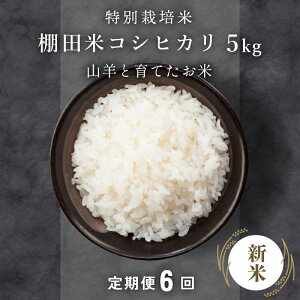 yӂ邳Ɣ[Łz ߘa7NY V  䌧Y ʍ͔| wRVqJx5kg (Pꌴ) ʌ聄yRrƈĂ ̂   R   Ic ͂