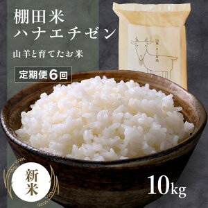 yӂ邳Ɣ[Łz zJn ߘa7NY V  RrƈĂ ̒IcāwniG`[x10kg (Pꌴ) ʌ聄ŷ   R   Ic 