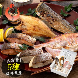 【ふるさと納税】レビューキャンペーン実施中!!福井の地魚セット 5種盛合わせ【魚介類・加工品】