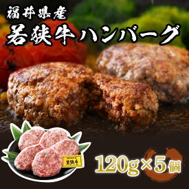 【ふるさと納税】ハンバーグ 5個 極上の味！「福井県産若狭牛ハンバーグ 600g(120g × 5個)」 精肉店自慢のちょっと贅沢ハンバーグ 和牛 国産牛肉 冷凍便