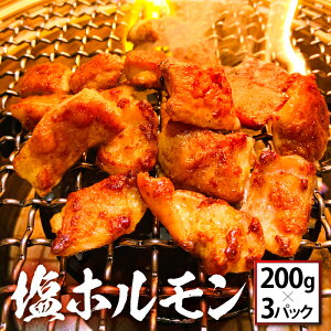 yӂ邳Ɣ[Łz ؉z 600gi200g×3pbNjiIēuтv̖t z yē BBQ o[xL[ z u  ܂   Ⓚ  Ε 