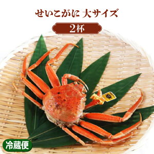 yӂ邳Ɣ[ŁzyԌzsTCYIׂt TCYi150g`250gj× 2ti䥂łɁjs\ / 116̉֓ȍ~oׁyzO  ZCRKj ZRKj 