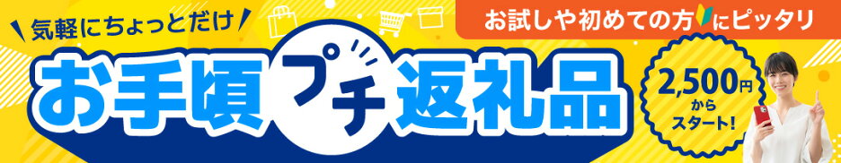 気軽にちょっとだけ♪お手頃プチ返礼品