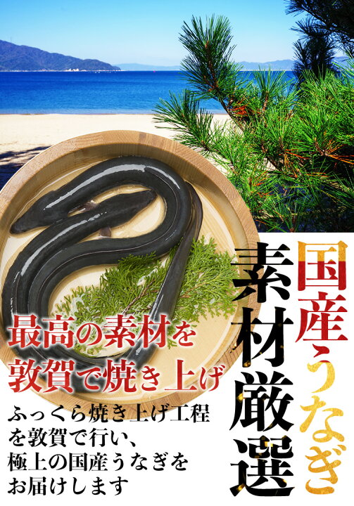 【ふるさと納税】ふっくら焼き上げ!国産うなぎ蒲焼き4尾セット (約170g×4尾)【ますよね うなぎ 鰻】 福井県敦賀市 ふるさと納税 うなぎ屋きた本 うなぎ白焼き120g2尾セット(無頭) Bun-0004 高知県香南市