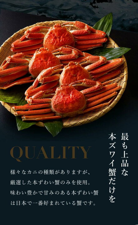カニ 【からし・マスタード】 福井県 南越前町  先行予約 🎑 年末お届け予定 越前がに 大 （1kg以上） 1杯