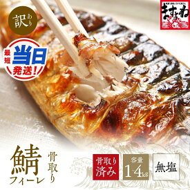 【ふるさと納税】【最短当日発送】人気上昇 [訳あり] 骨取り サバ切り身 (無塩) 1〜4kg [定期便あり]【ますよね サバ さば 鯖 切り身 フィーレ 切り身 厚切り 魚 海鮮 無塩 おかず 惣菜 惣菜 おかず 弁当 簡単 家庭用 訳あり冷凍 定期 定期便 人気 NEW 新規】