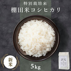 yӂ邳Ɣ[Łz 917ȍ~ ߘa7NY V  䌧Y ʍ͔| wRVqJx5kg (Pꌴ) ʌ聄yRrƈĂ ̂   R   I